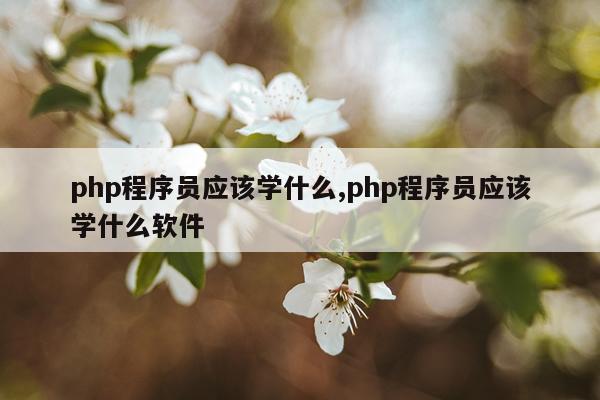 php程序员应该学什么,php程序员应该学什么软件