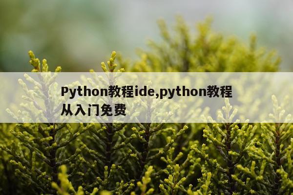 Python教程ide,python教程从入门免费