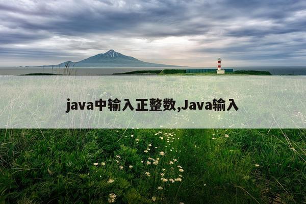 java中输入正整数,Java输入