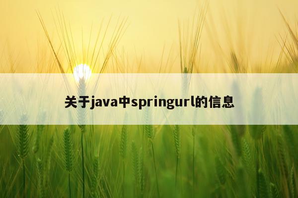 关于java中springurl的信息
