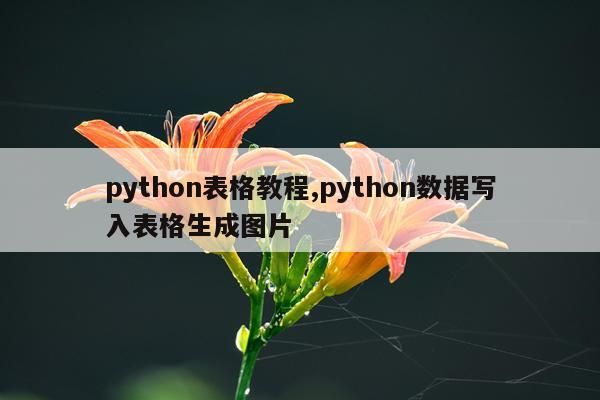 python表格教程,python数据写入表格生成图片