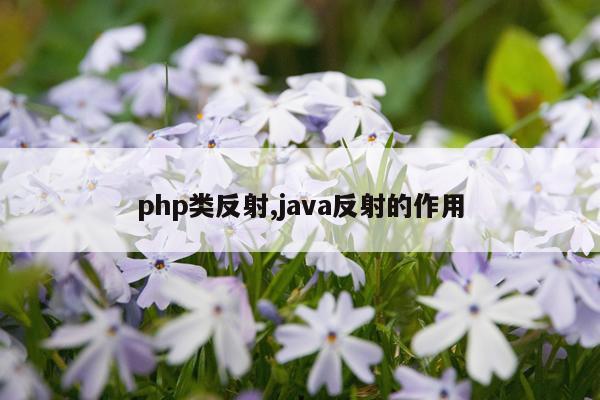 php类反射,java反射的作用
