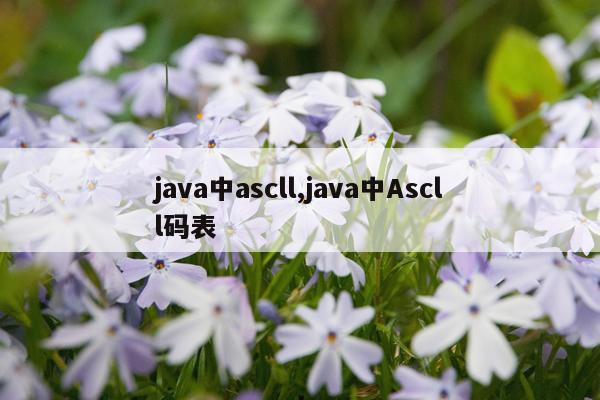 java中ascll,java中Ascll码表