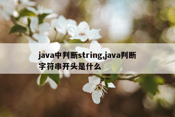 java中判断string,java判断字符串开头是什么