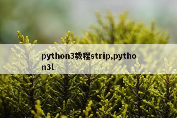python3教程strip,python3l
