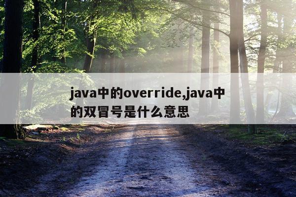 java中的override,java中的双冒号是什么意思