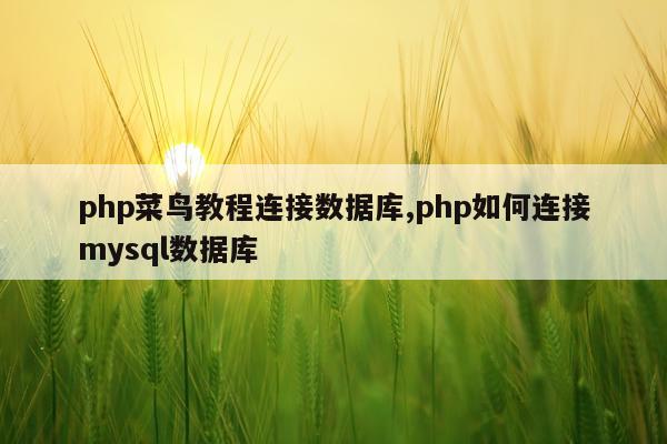 php菜鸟教程连接数据库,php如何连接mysql数据库