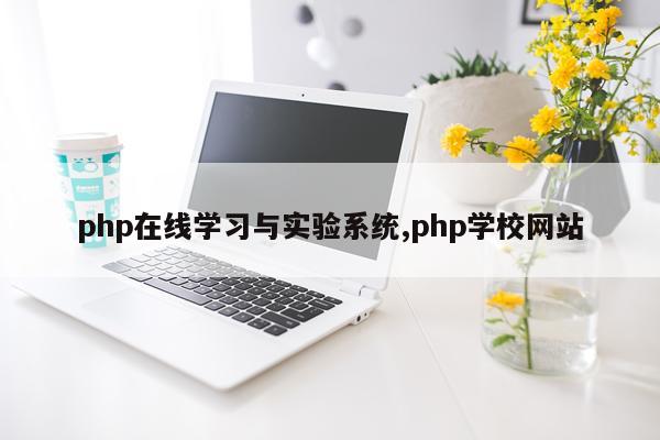php在线学习与实验系统,php学校网站