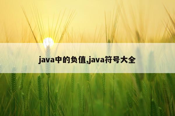java中的负值,java符号大全
