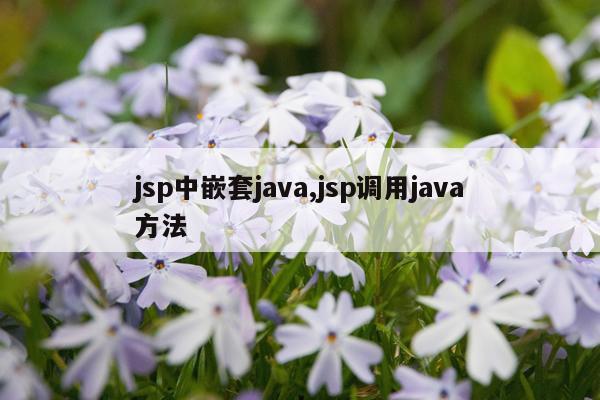 jsp中嵌套java,jsp调用java方法