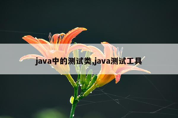 java中的测试类,java测试工具