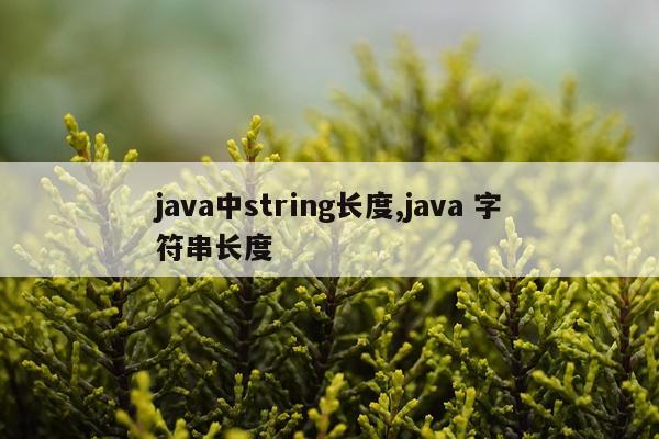 java中string长度,java 字符串长度