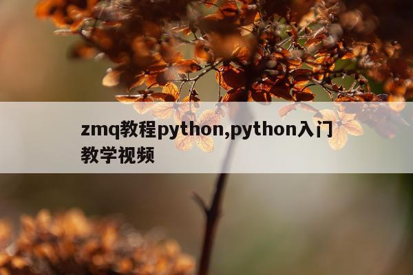 zmq教程python,python入门教学视频