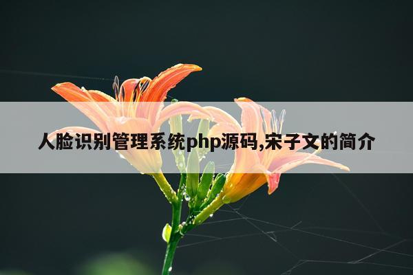 人脸识别管理系统php源码,宋子文的简介