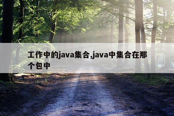 工作中的java集合,java中集合在那个包中