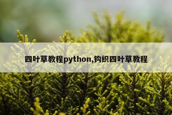 四叶草教程python,钩织四叶草教程