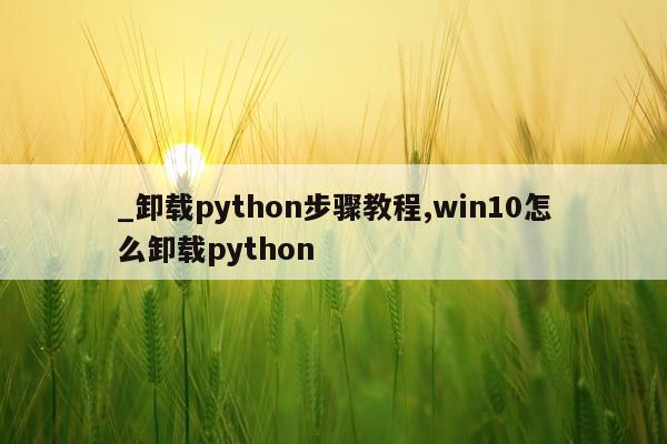 _卸载python步骤教程,win10怎么卸载python