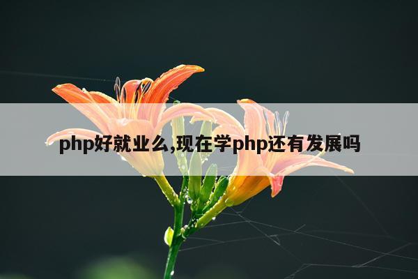 php好就业么,现在学php还有发展吗