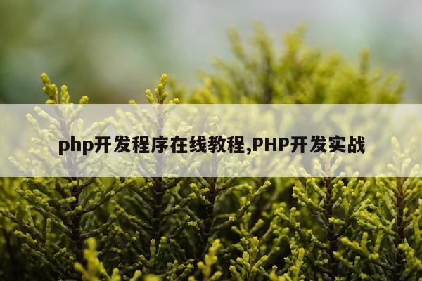 php开发程序在线教程,PHP开发实战