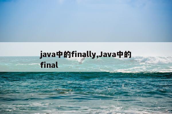 java中的finally,Java中的final