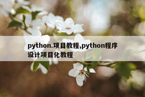 python.项目教程,python程序设计项目化教程