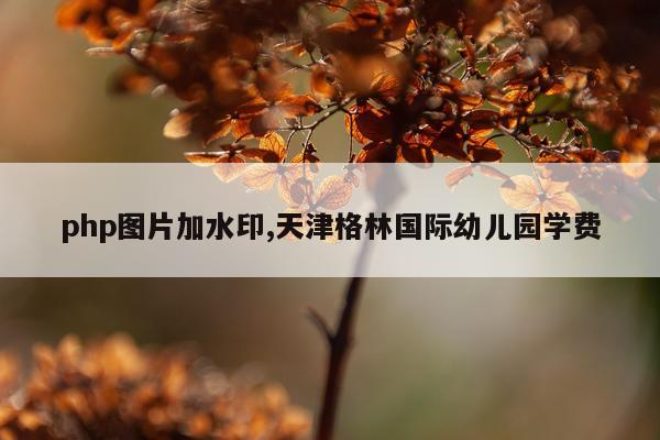 php图片加水印,天津格林国际幼儿园学费