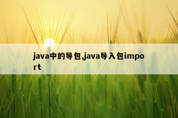 java中的导包,java导入包import