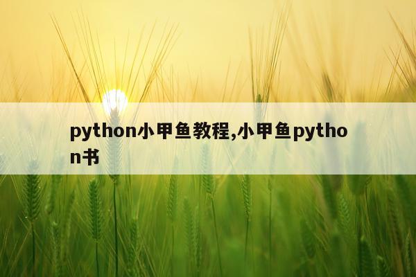 python小甲鱼教程,小甲鱼python书