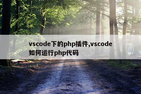 vscode下的php插件,vscode如何运行php代码
