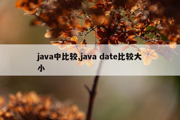 java中比较,java date比较大小