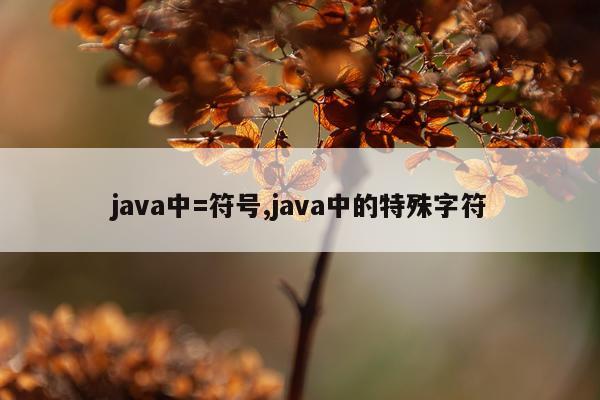 java中=符号,java中的特殊字符