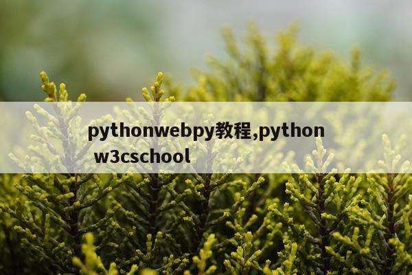 pythonwebpy教程,python w3cschool