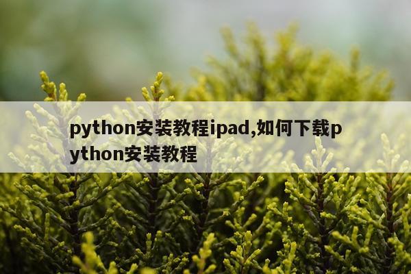 python安装教程ipad,如何下载python安装教程