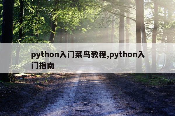 python入门菜鸟教程,python入门指南
