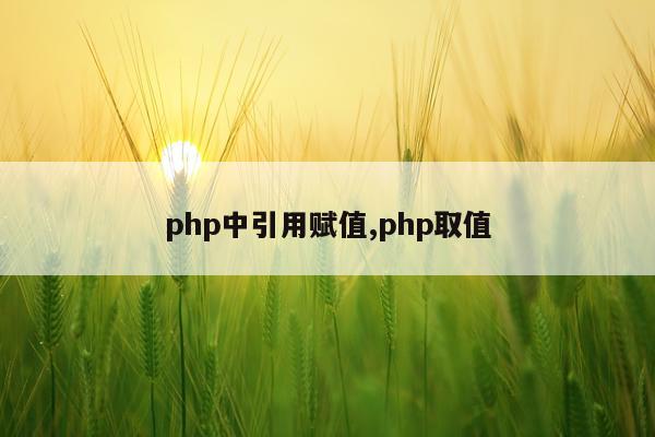 php中引用赋值,php取值