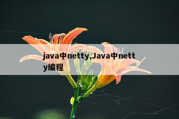 java中netty,Java中netty编程