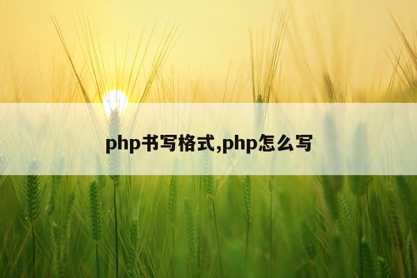 php书写格式,php怎么写