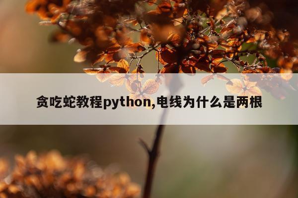 贪吃蛇教程python,电线为什么是两根