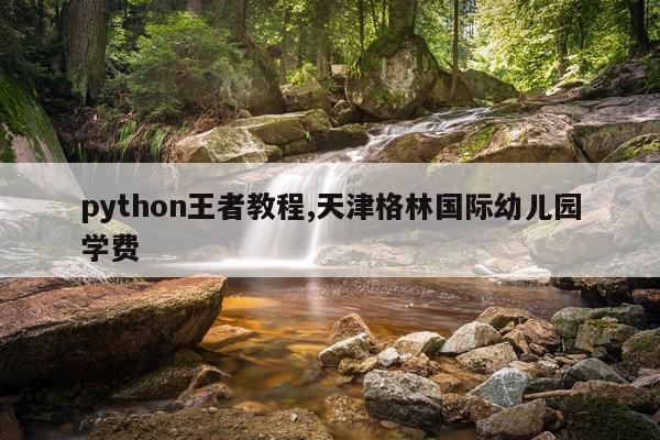 python王者教程,天津格林国际幼儿园学费