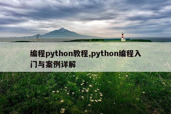 编程python教程,python编程入门与案例详解