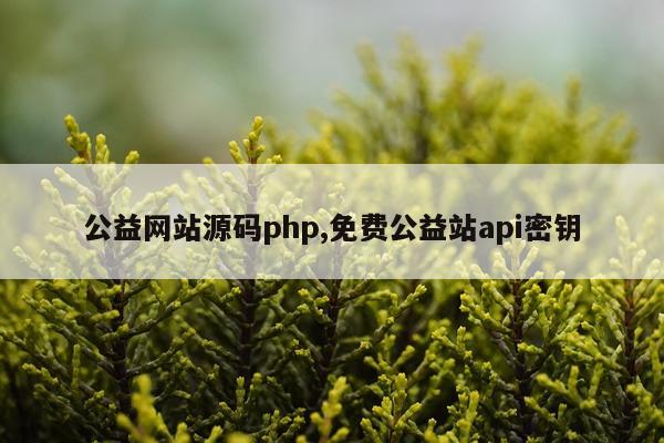 公益网站源码php,免费公益站api密钥