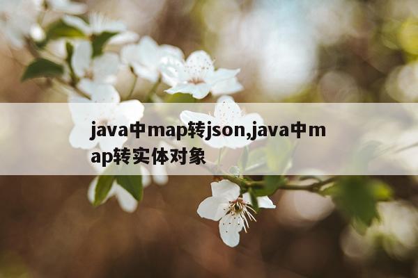 java中map转json,java中map转实体对象