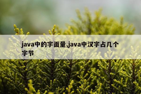 java中的字面量,java中汉字占几个字节