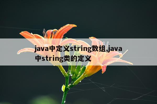 java中定义string数组,java中string类的定义