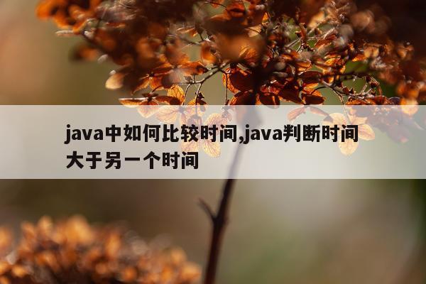 java中如何比较时间,java判断时间大于另一个时间