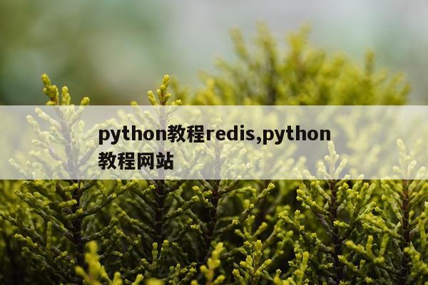 python教程redis,python教程网站