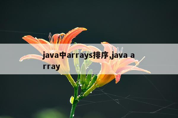 java中arrays排序,java array