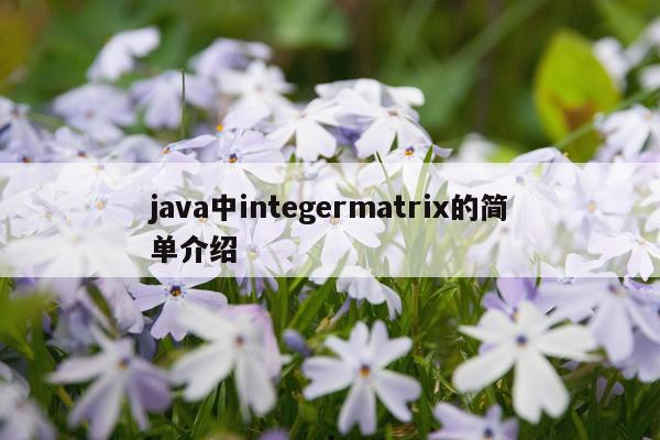 java中integermatrix的简单介绍