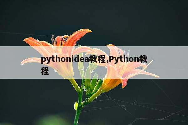 pythonidea教程,Python教程