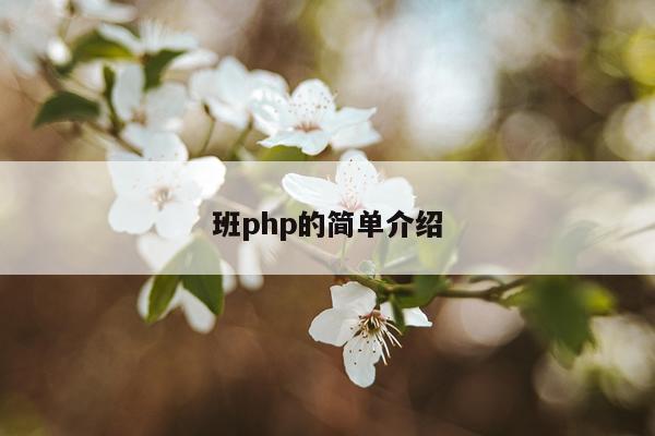 班php的简单介绍